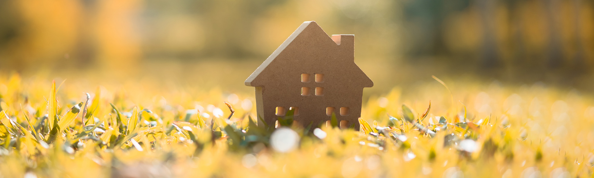 model home on green grass with sunlight abstract background